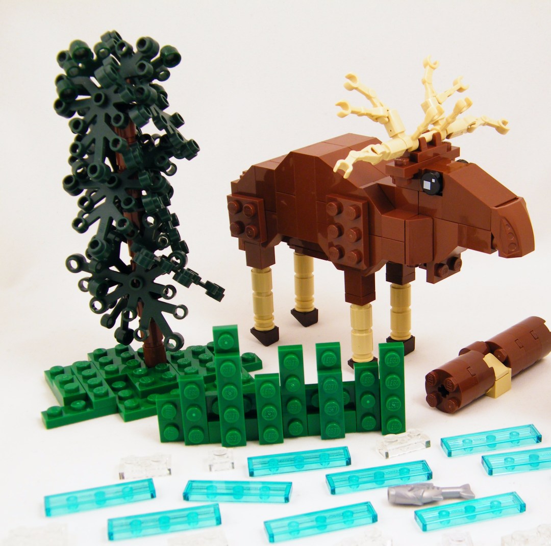 33174037053_447e553bf8_o